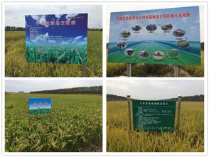 技術推廣服務中心 推動創新成果轉化的橋梁